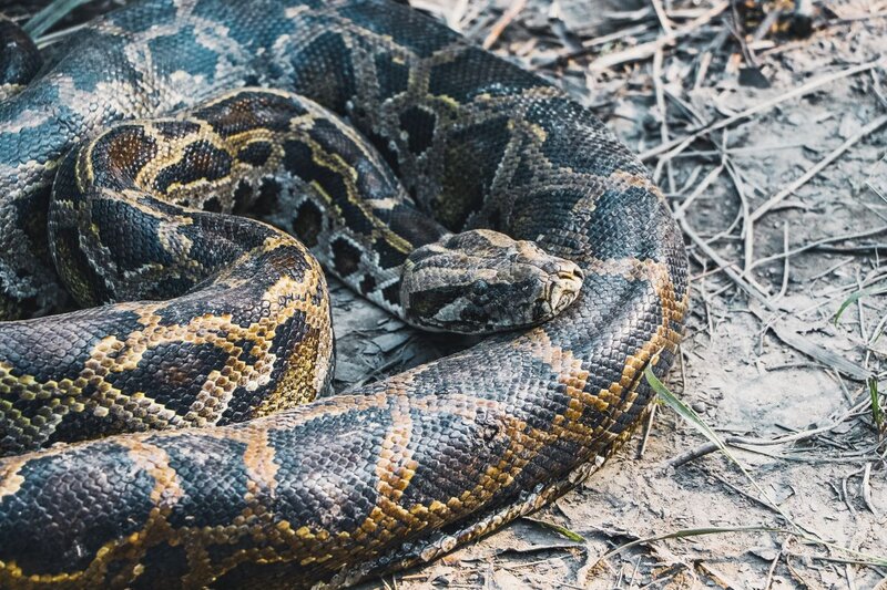 SQL or Python First? A Realistic Learning Path for 2026